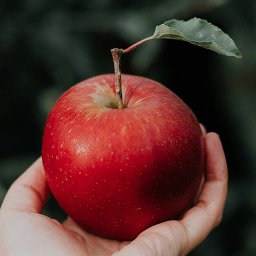 Apfel "Red Jonaprince", 10 kg