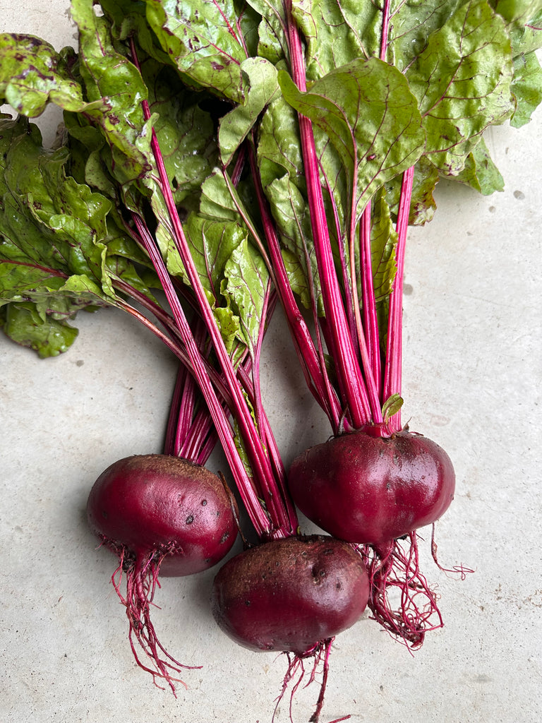 Bio Rote Bete