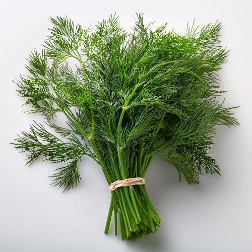 Dill