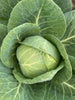 Bio Weißkohl