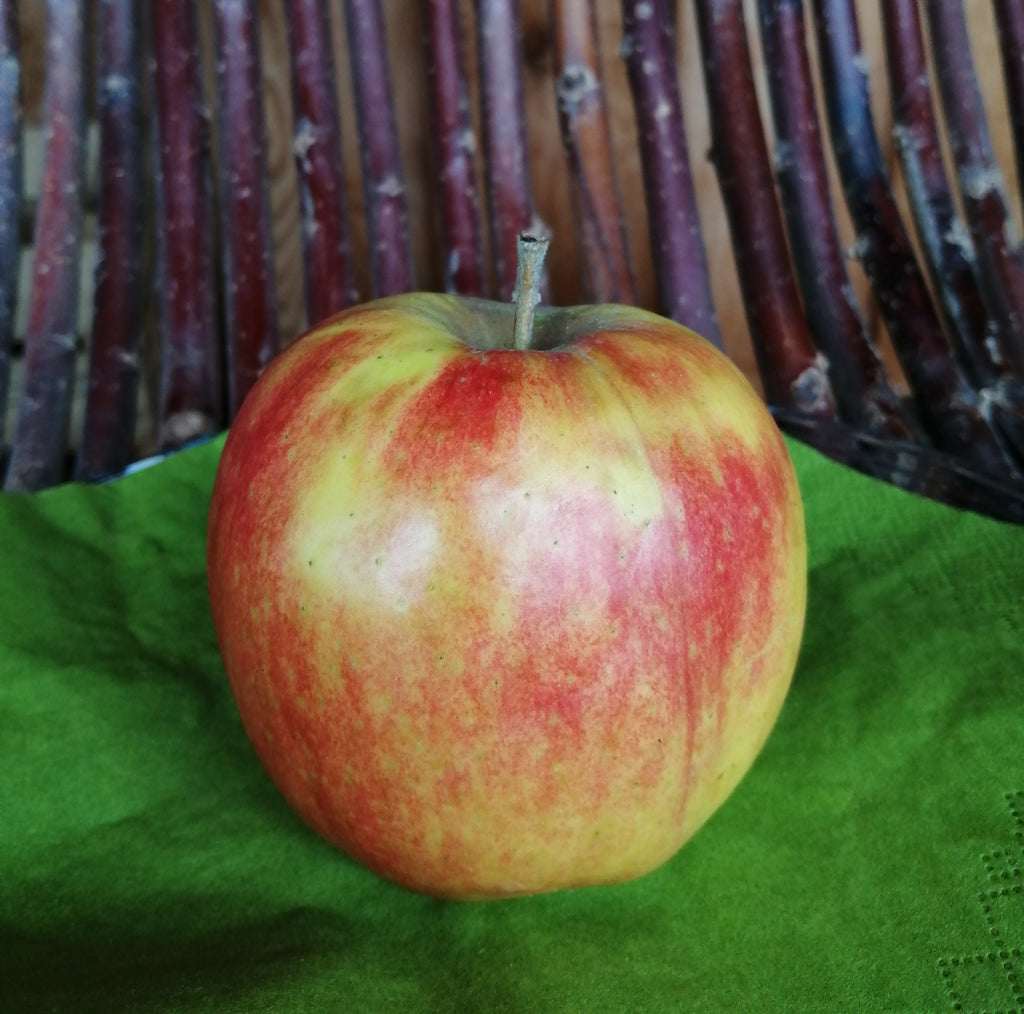 Apfel "Braeburn", 10 kg