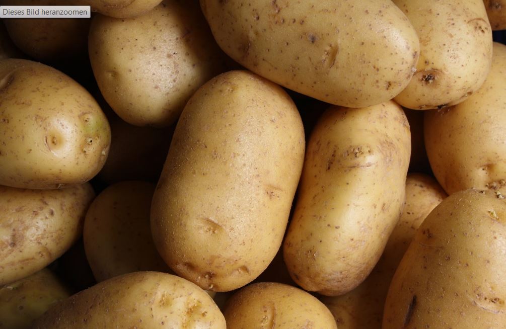 Kartoffeln Sorte "Karella" mk