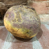 Bio Steckrübe, rot 6 kg