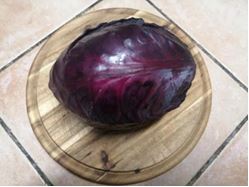 Rotkohl