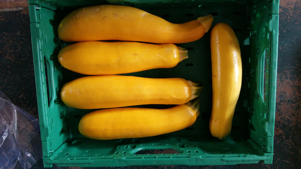 Zucchini,gelb,grün   2,5kg