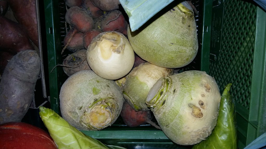 Steckrübe , 2kg