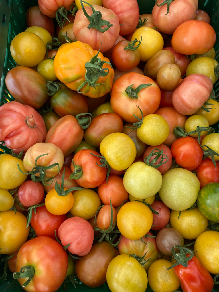 Tomaten - Kunterbunt (1kg/6,90€)
