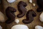 Seepferdchenkonfekt 100g