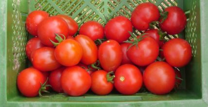 Cocktail Tomatenmix