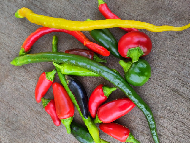 Peperoni mittelscharf Mix verschiedene Sorten 500g